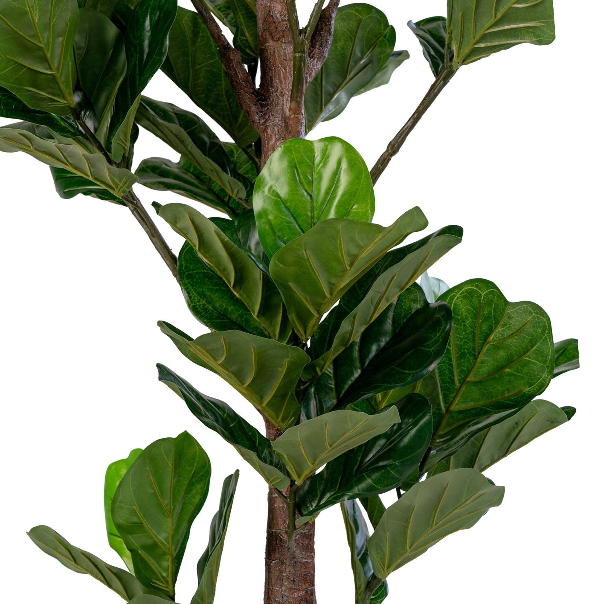 Artificial fiddle leaf fig plant on a white background