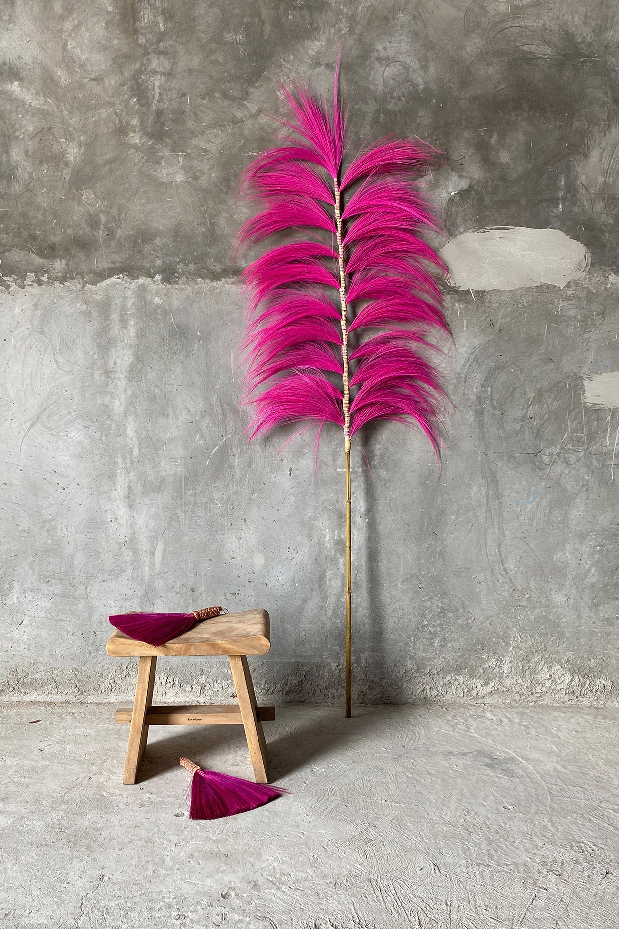 Fuchsia pampas grass plant against a gray concrete wall with a wooden stool.