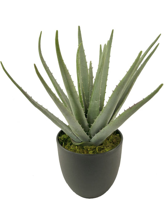 "Lifelike artificial Agave plant with silver-green leaves in a 34 cm tall black pot, designed for a realistic desert appearance, perfect for adding a sophisticated touch to any indoor setting."