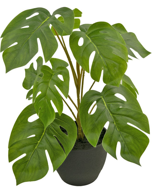 Artificial Monstera Plant 40 cm in decorative black pot