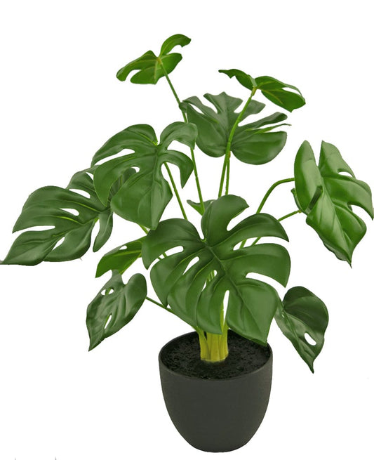 "Artificial Monstera plant, 51 cm tall, in a black decorative pot, designed to look lifelike and maintenance-free for easy home decor."
