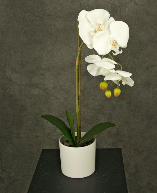 "Image: Artificial White Orchid in a white pot, perfect for home or office decor."