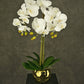 "Text: Artificial White Orchid in a golden pot, perfect for home or office decor."