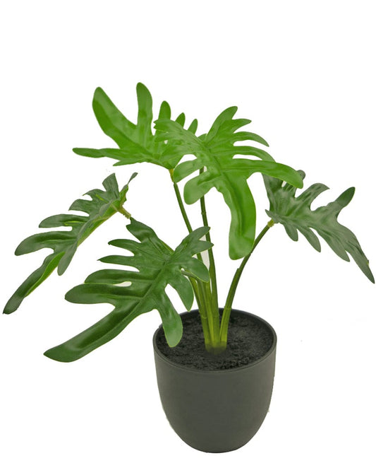 "Image: Philodendron Artificial Plant in a sleek black pot, adding vibrant greenery to any space effortlessly."