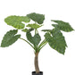 "Lifelike Alocasia Artificial Plant with large green leaves, standing 80 cm tall in a simple plastic pot, ideal for indoor decor."