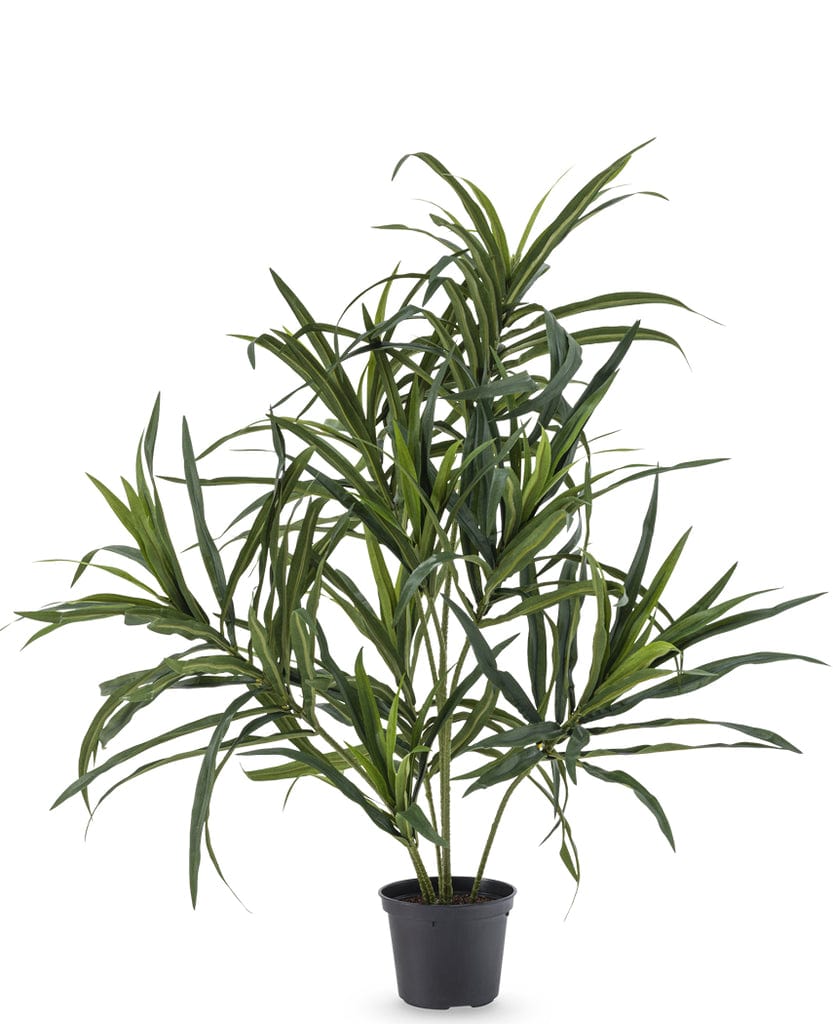 "Artificial Dracaena Reflexa plant, vivid green, in a 63 cm pot, designed to mimic the natural appearance and texture of a real Dracaena for indoor decor."