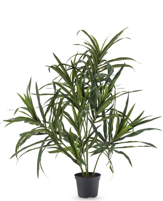 "Artificial Dracaena Reflexa plant, vivid green, in a 63 cm pot, designed to mimic the natural appearance and texture of a real Dracaena for indoor decor."