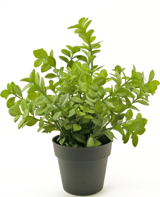 "Lifelike Eucalyptus Artificial Plant in a pot, 27 cm tall, featuring detailed green leaves for a serene touch to indoor decor, perfect for home or office settings."