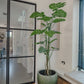 Artificial Monstera Plant 180 cm