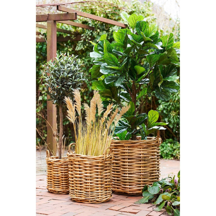The Burton Natural Kubu Rattan Baskets - Set of 3 - 