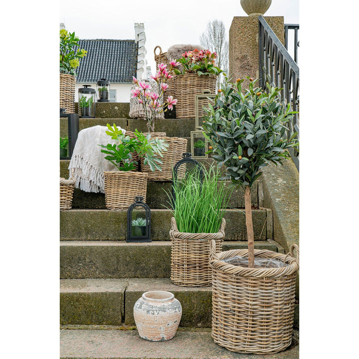 Decorative outdoor steps with wicker baskets, plants, and lanterns.