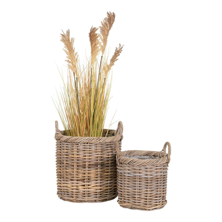 Two woven baskets with dried plants on a white background