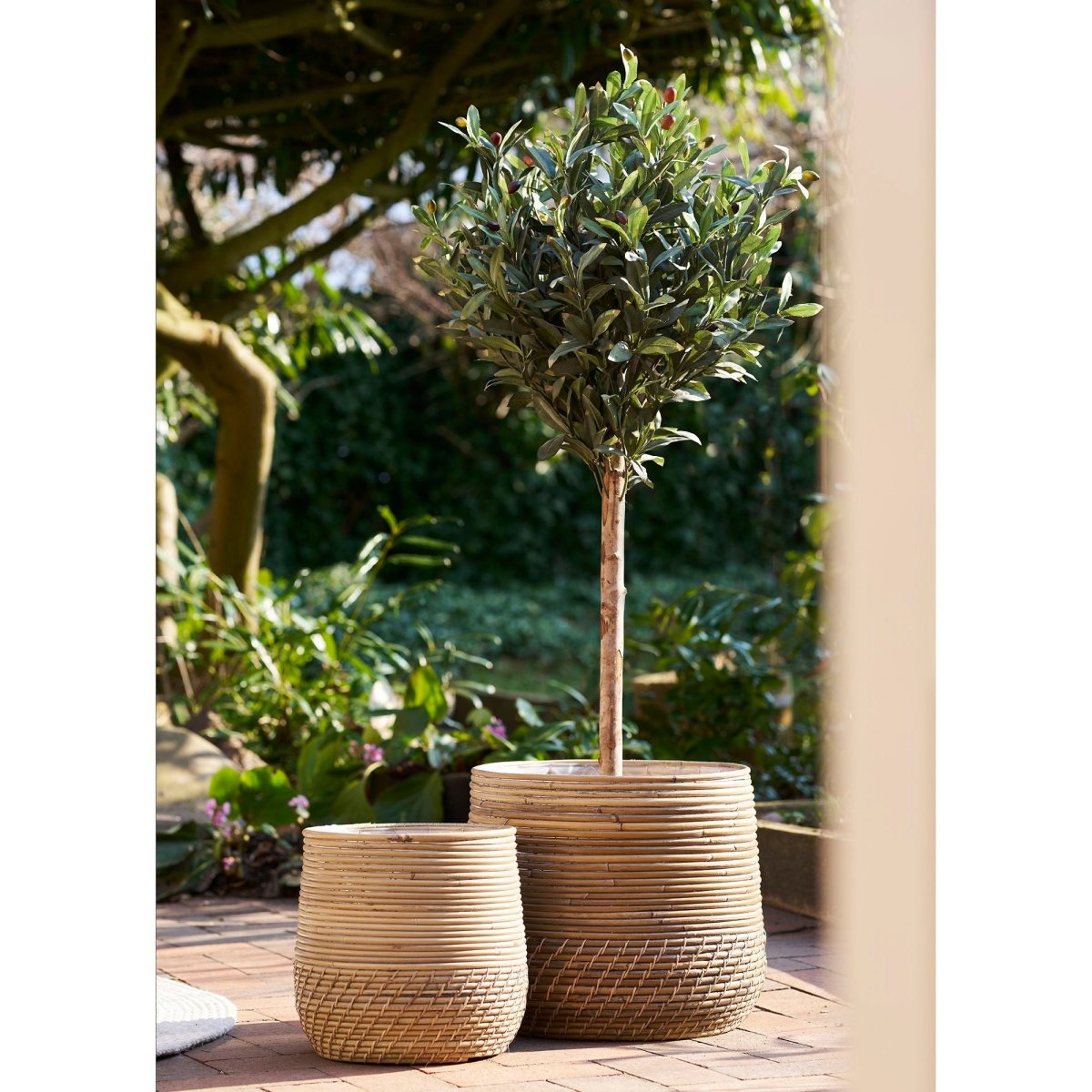 Two potted plants in woven pots on a wooden deck with a garden background