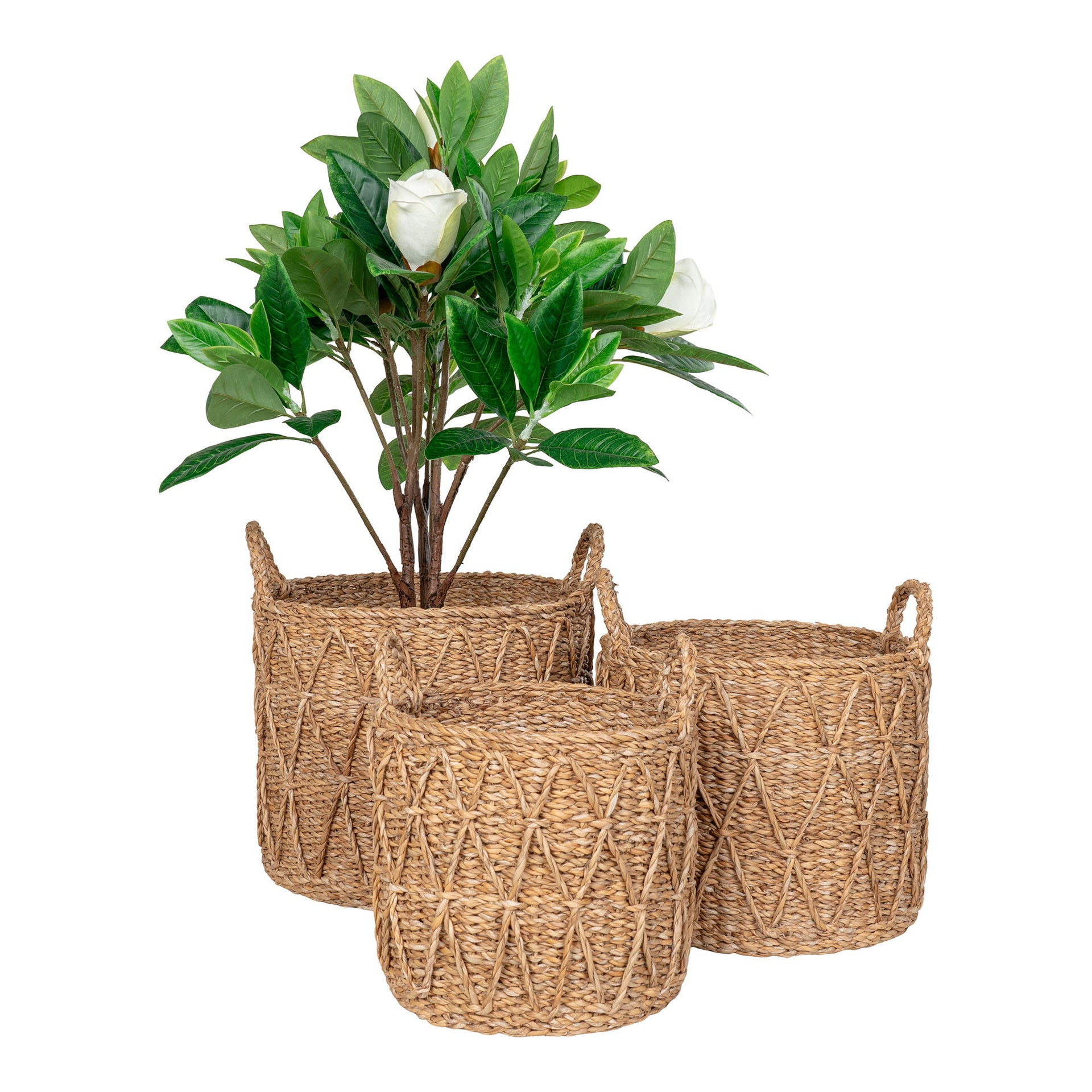Set of 3 Krabi Baskets in Natural Seagrass | Decorative Storage