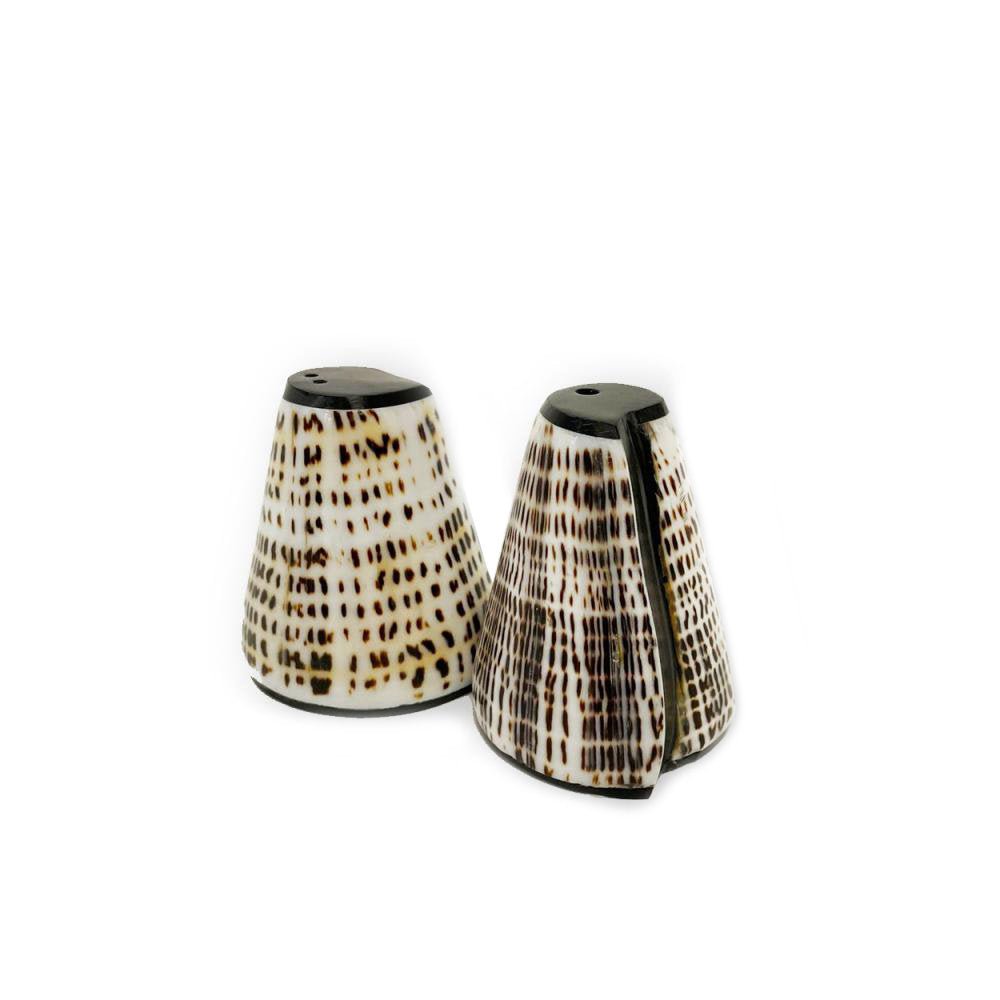 Salt & Peppa Shell – Set of 2 | Handmade Shell Salt & Pepper Shaker - 