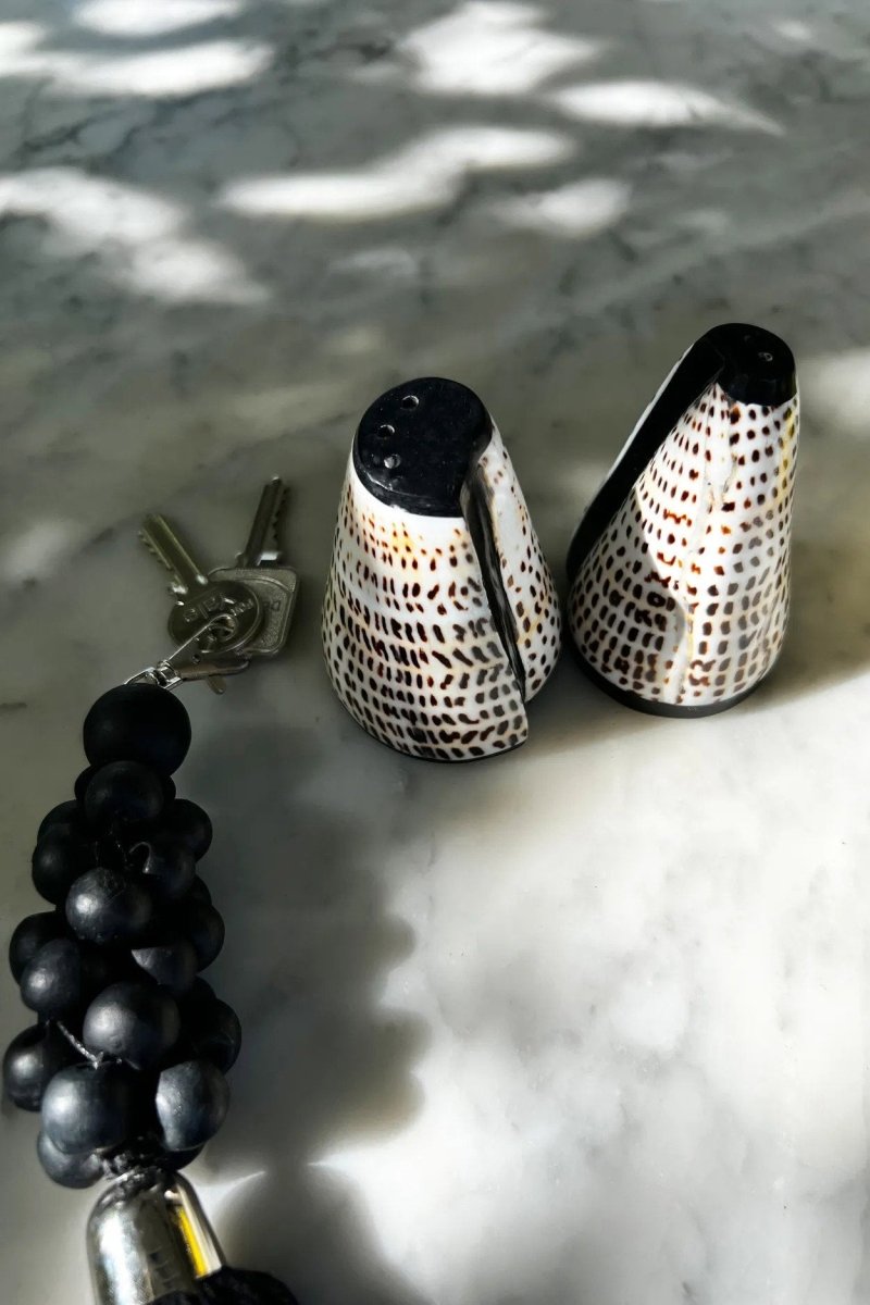 Salt & Peppa Shell – Set of 2 | Handmade Shell Salt & Pepper Shaker - 
