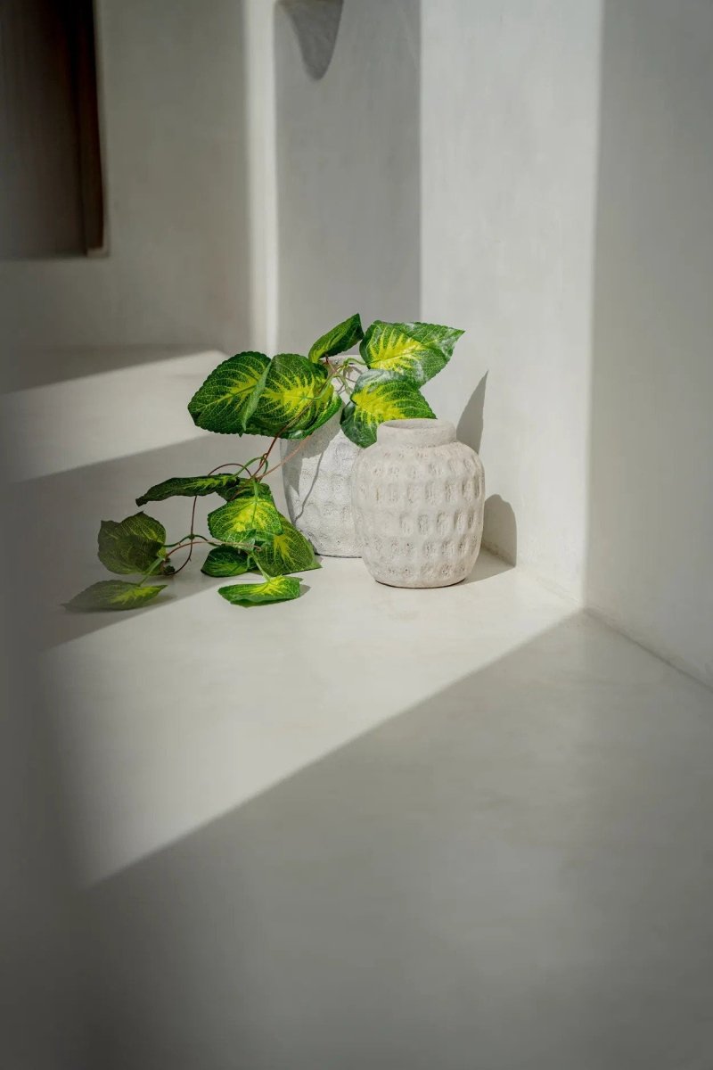 White textured vase with green leaves on a white surface
