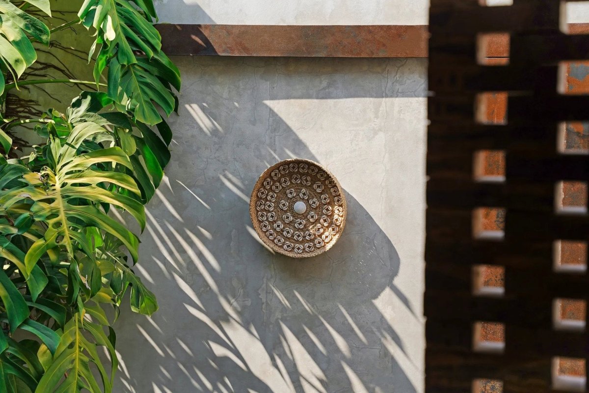 The Caribe Shell Plate - Natural White 42cm diam - 