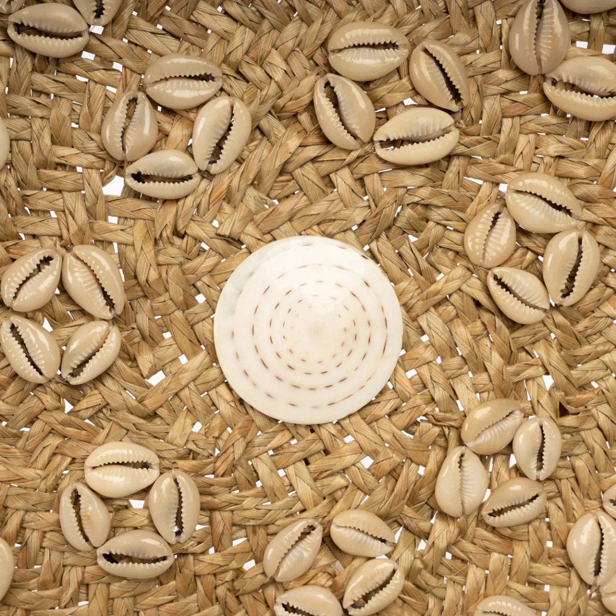 The Caribe Shell Plate - Natural White 42cm diam - 