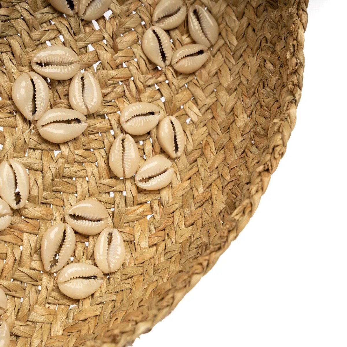 The Caribe Shell Plate - Natural White 42cm diam - 