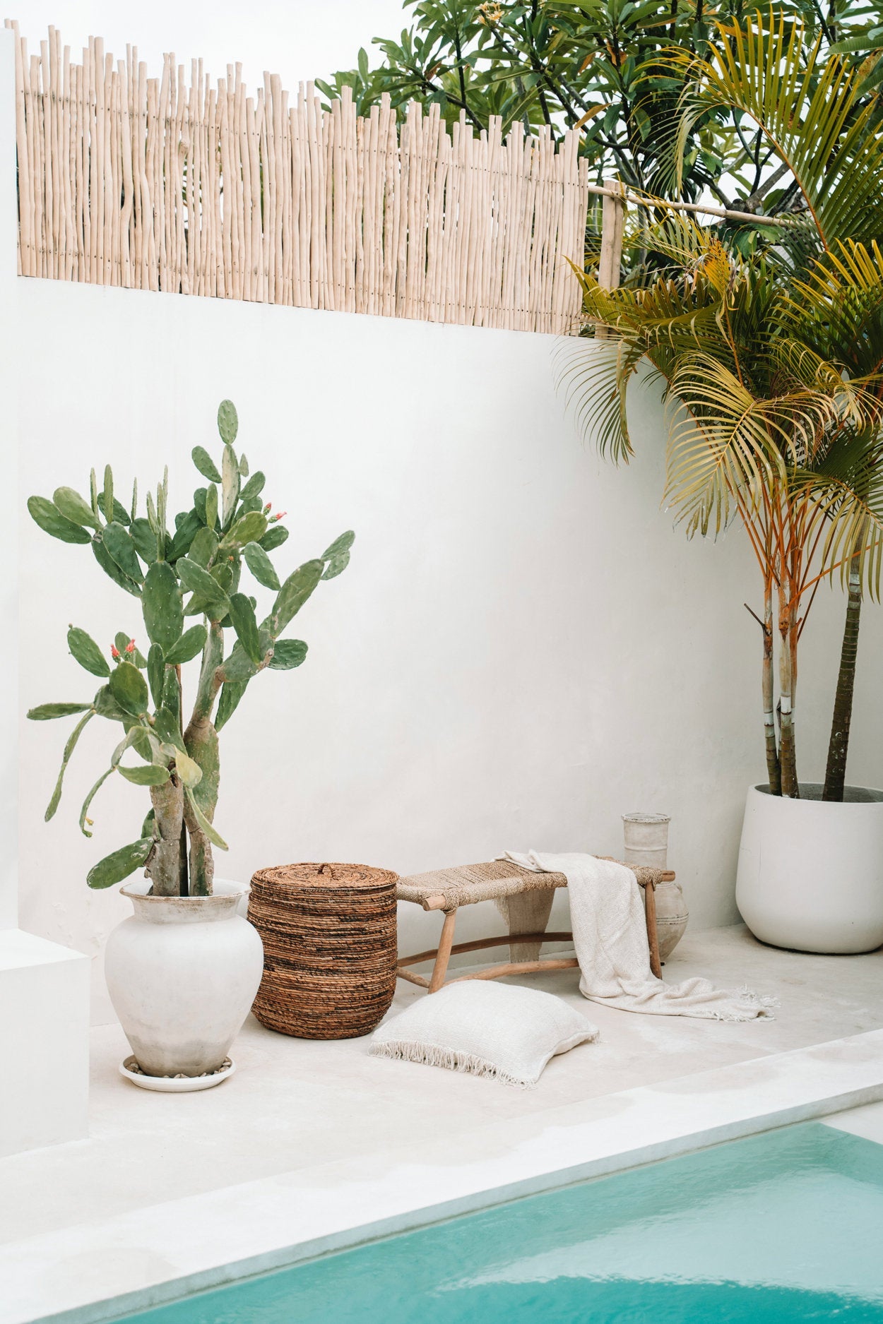 Outdoor setting with plants, a woven basket, and a white wall.