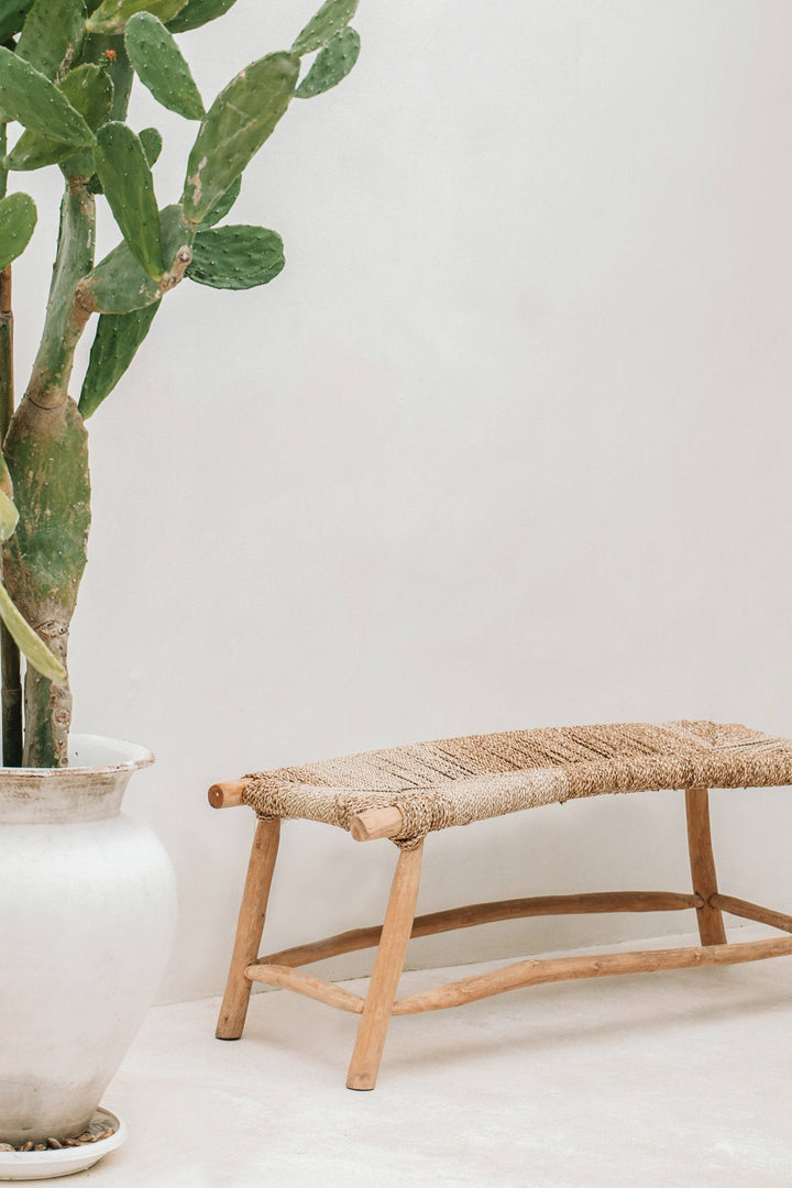 Woven bench next to a potted cactus on a white background