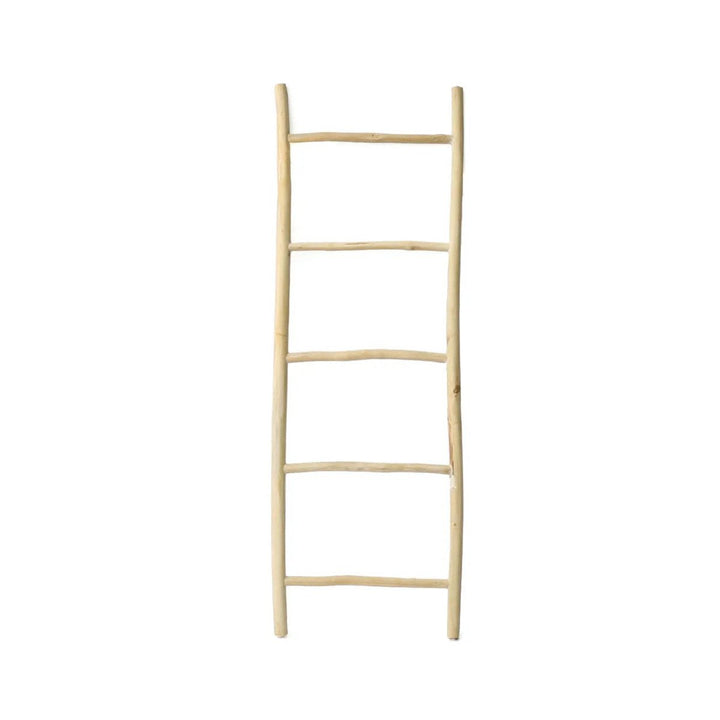 Wooden ladder on a white background
