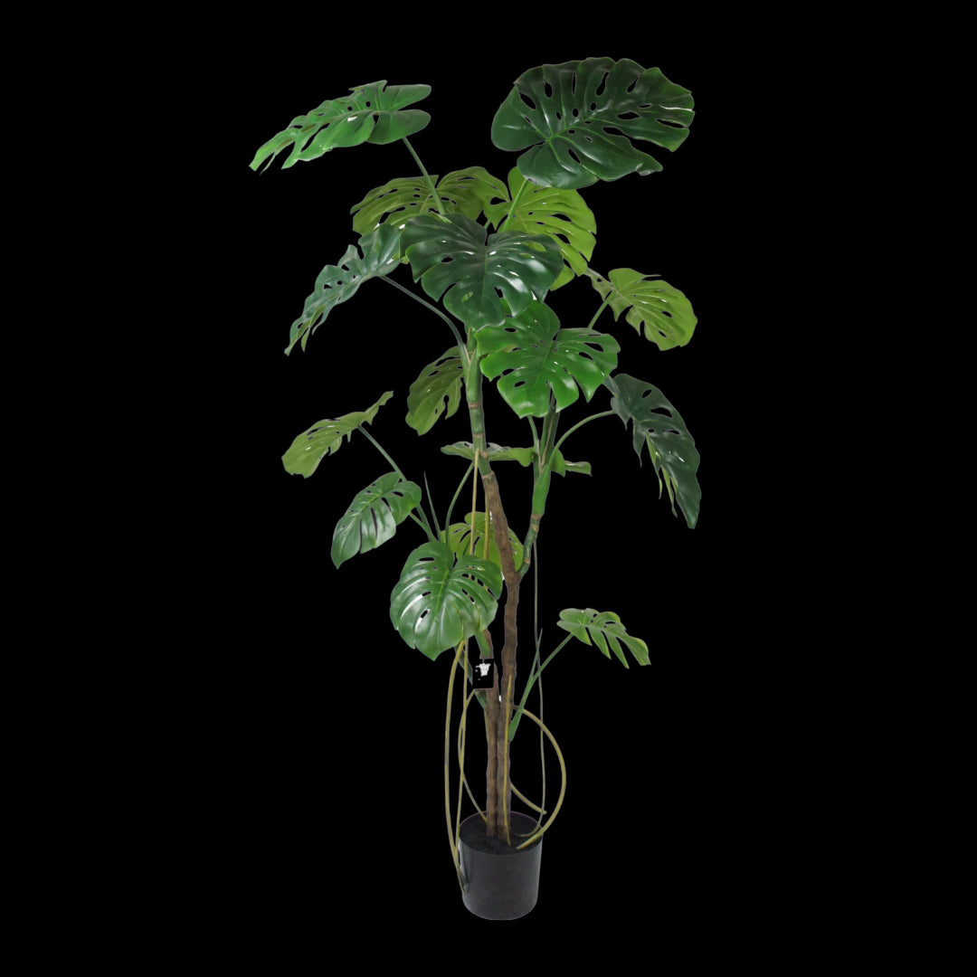 Potted artificial monstera plant on a white background