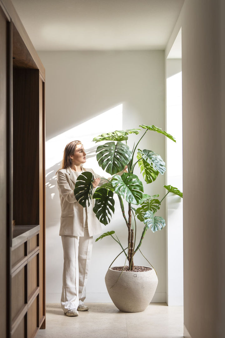 Person standing next to a large potted plant in a bright room