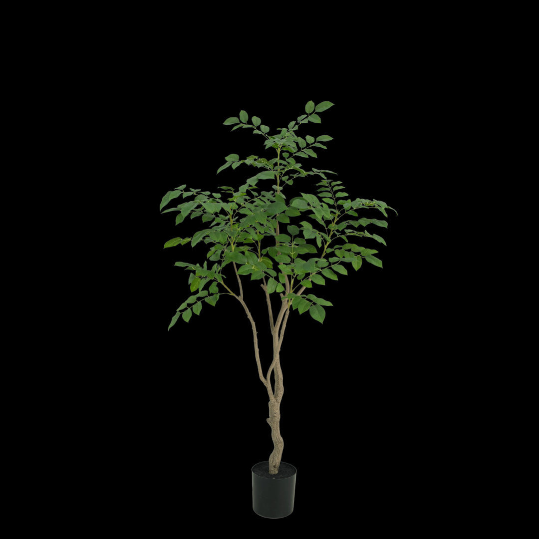 Sandalwood Tree – Faux Plant, 180 cm | Elegant Green Statement Piece
