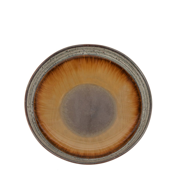 Round ceramic plate with a gradient color pattern on a white background