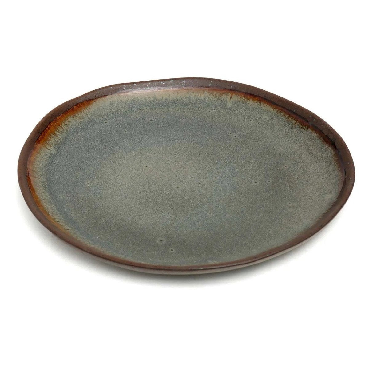Ceramic plate with a brown rim on a white background