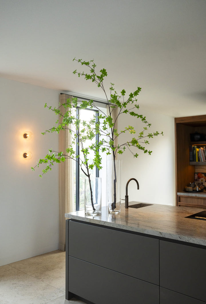 Modern kitchen with a central island, sink, and decorative plant.