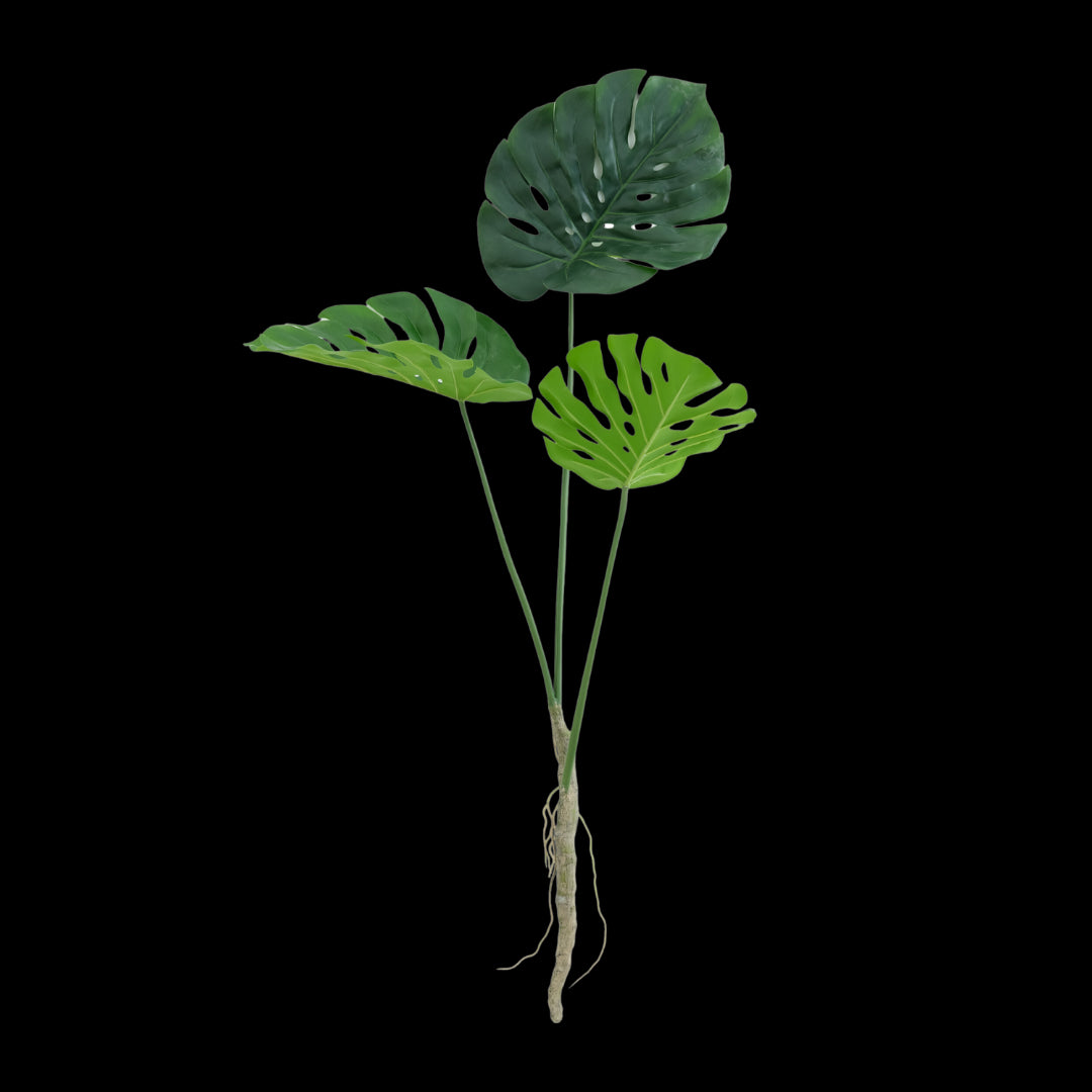 Artificial monstera leaves on a white background