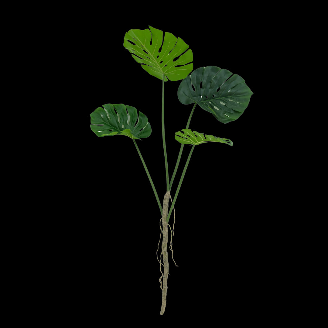 Artificial monstera plant leaves on a white background