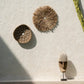 Caribe Shell Plate - Natural White 42cm diam displayed on a textured wall above a pool.