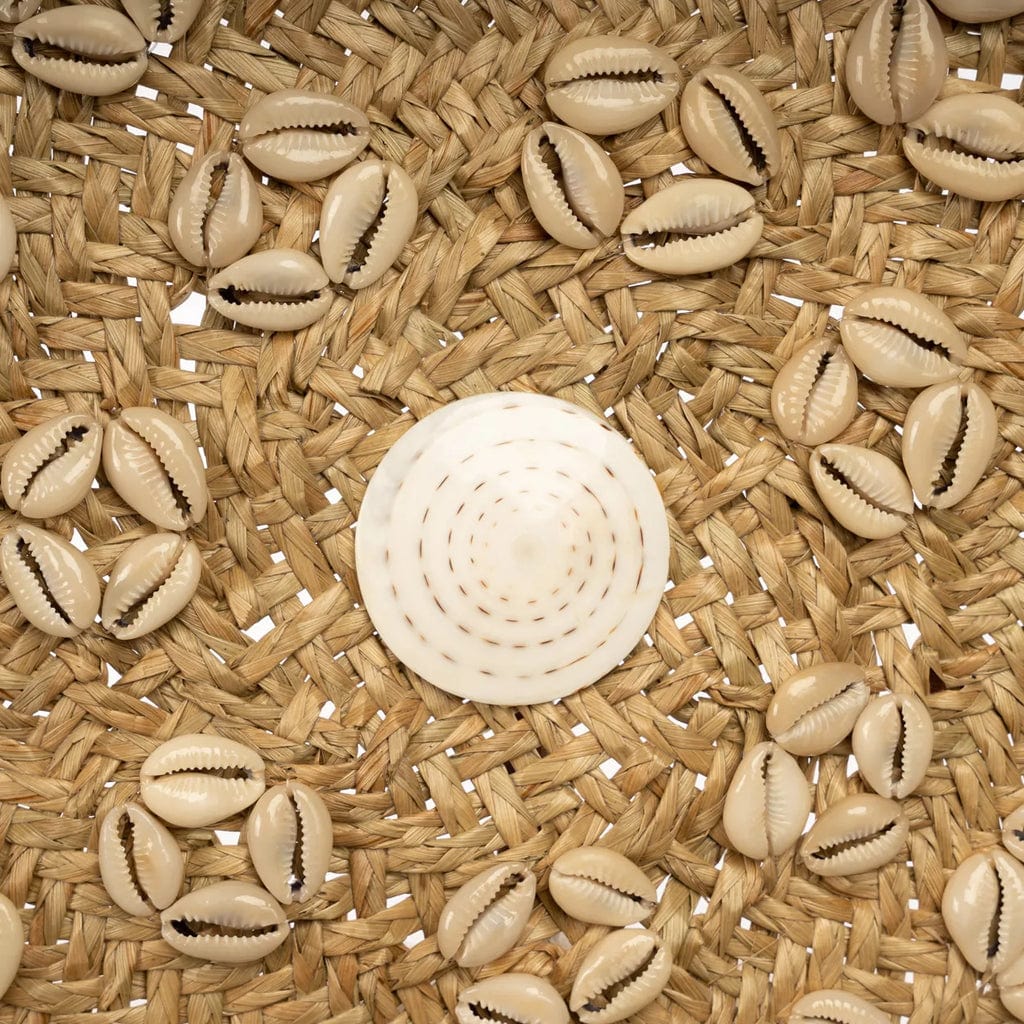 Caribe Shell Plate in natural white with intricate shell design, 42cm diameter.