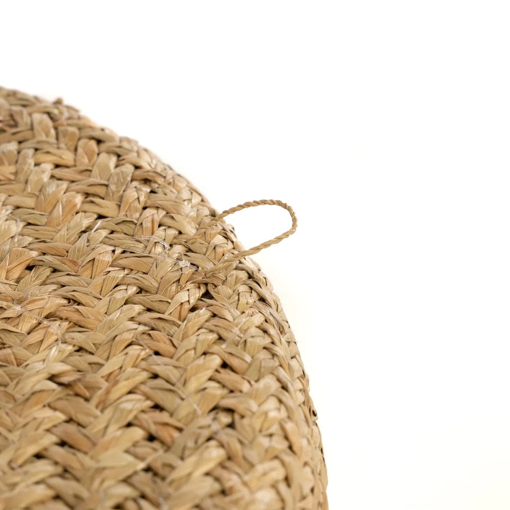 Caribe Shell Plate in natural grass and shells, close-up view.