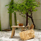 Quincy Stool crafted from natural reclaimed teak, eco-conscious design, h34cm.