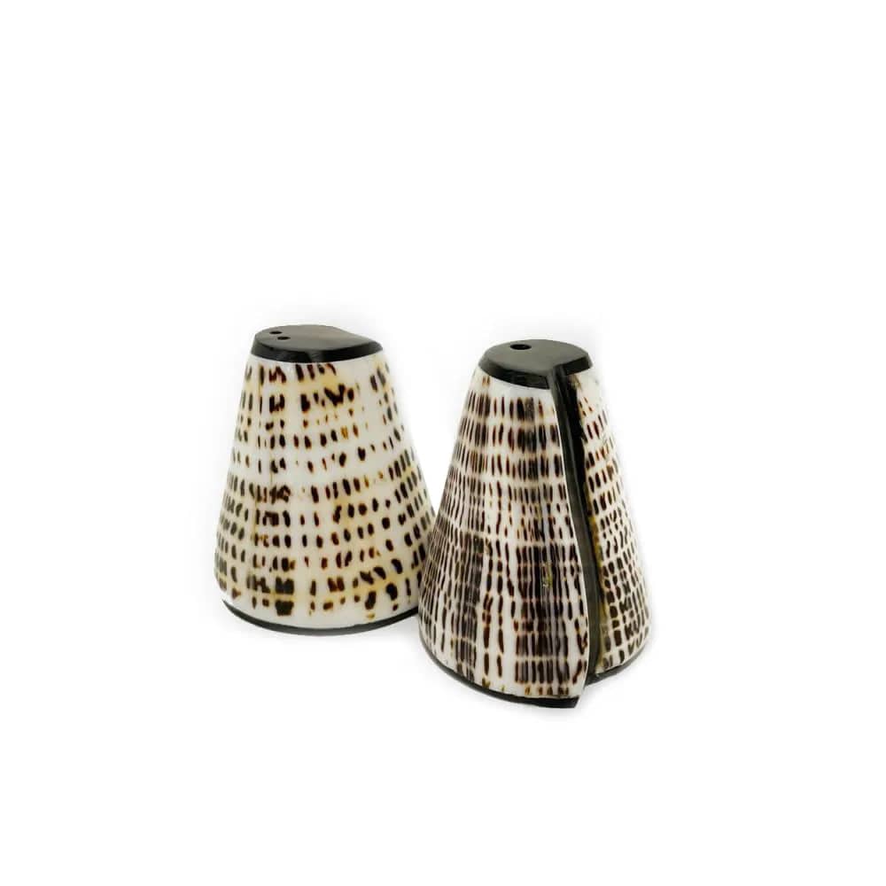  Handmade shell salt & pepper set with black details