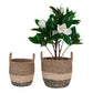 Lima Basket Set of 2 in seagrass with natural, brown, and black tones.