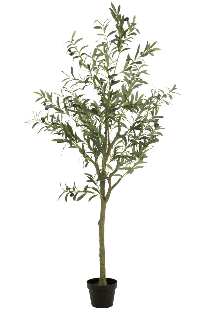 J-line Large Olive Tree in pot, 180cm tall and 80cm wide with lifelike green leaves