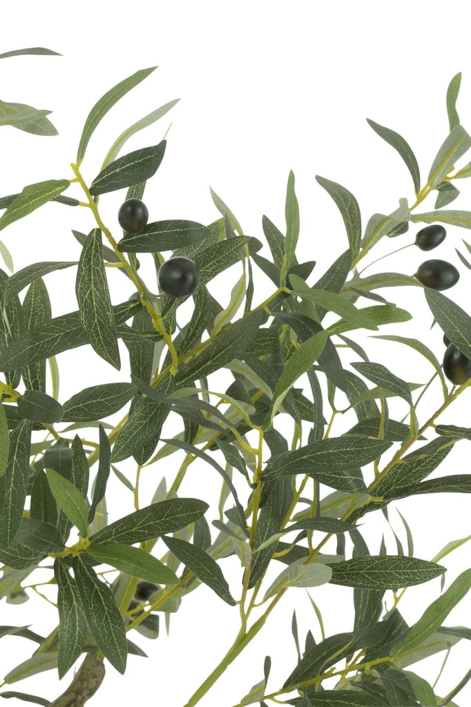 J-line  Olive Tree in Pot – Lifelike Green 150cm