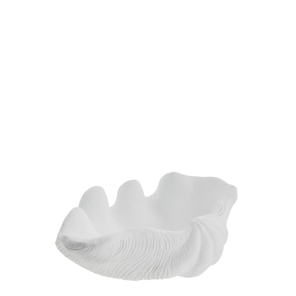 The Shella Seashell 32x21 cm White