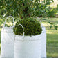 Set of 3 white square rattan baskets made from bamboo for stylish home storage and decor.