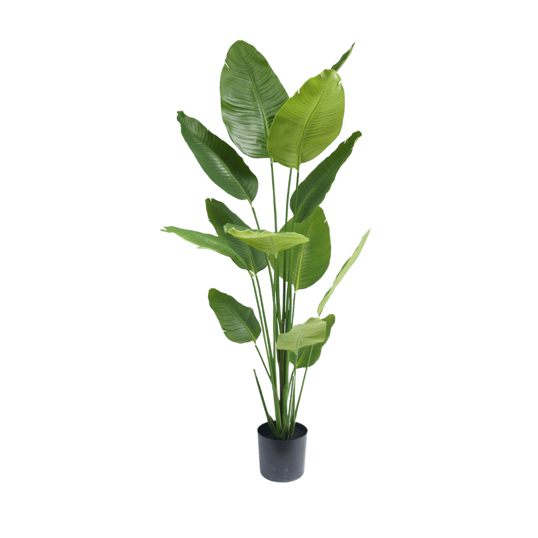 Artificial potted plant with large green leaves on a transparent background