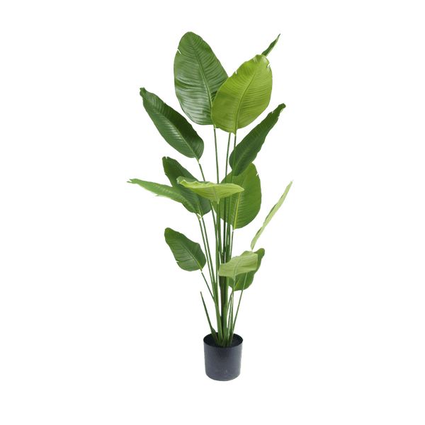 Strelitzia Artificial Plant 180 cm